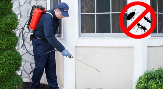 Başmakçı Haşere İlaçlama böcek ilaçlama ve haşere kontrolü — ilaclama-tr.com